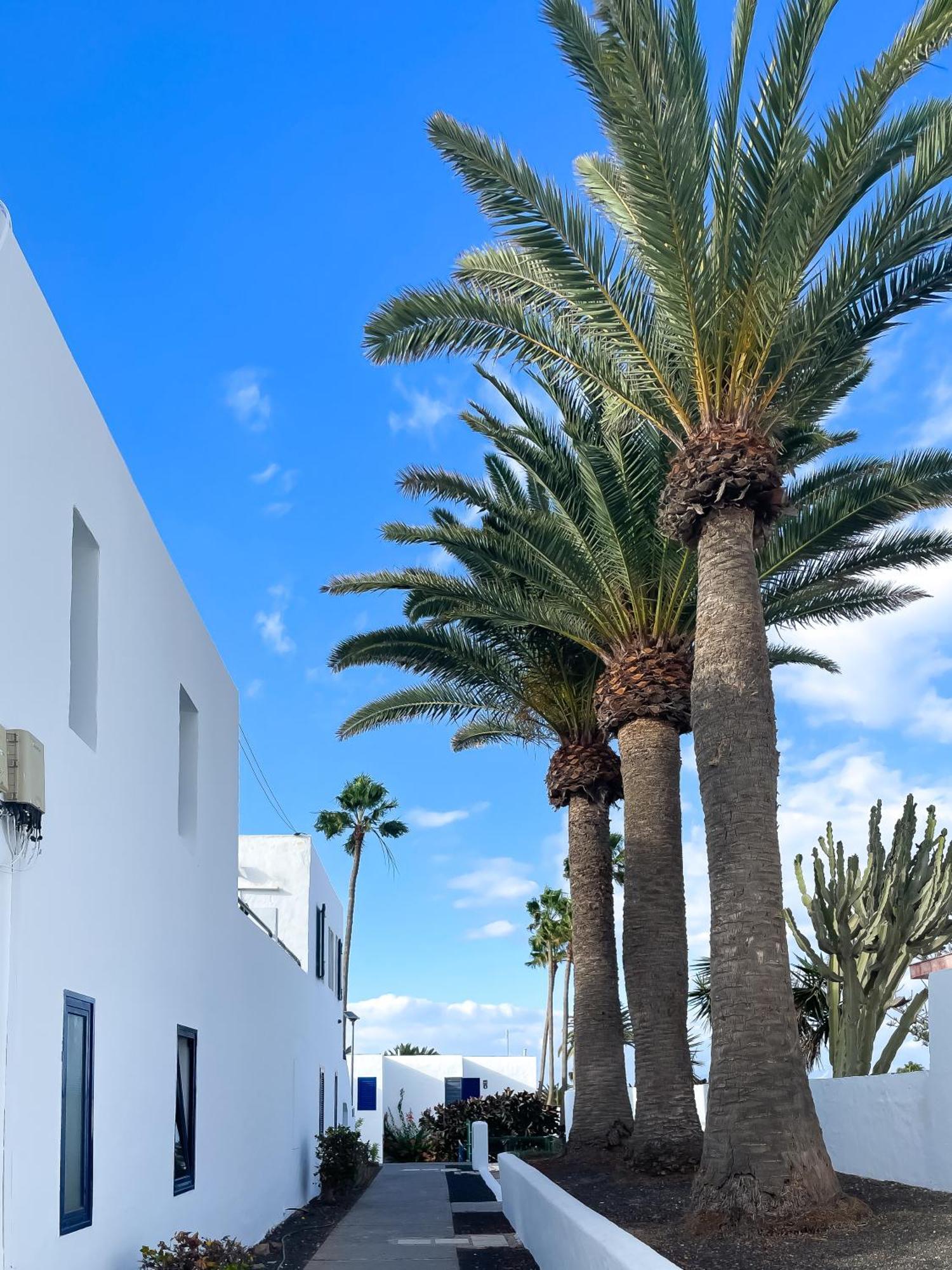Barqueros Beach By Best Holidays Fuerteventura Corralejo Exterior foto